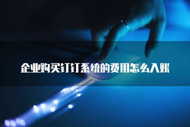 企业购买钉钉系统的费用怎么入账