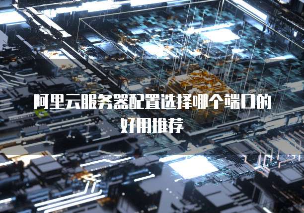 阿里云服务器配置选择哪个端口的好用推荐