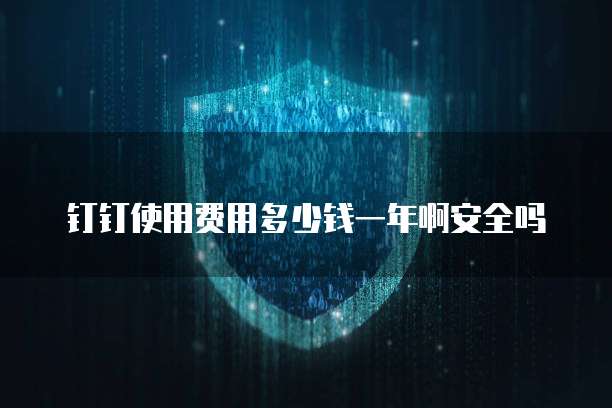 钉钉使用费用多少钱一年啊安全吗