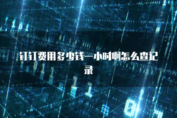 钉钉费用多少钱一小时啊怎么查记录