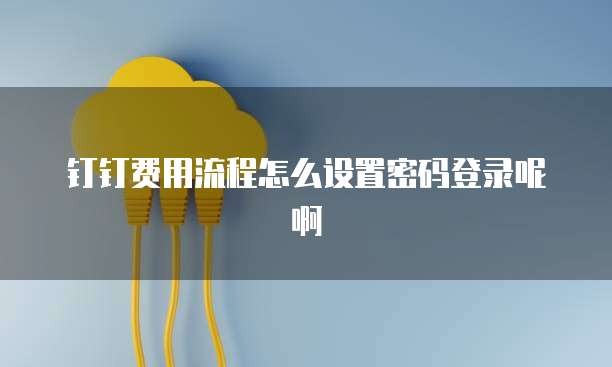 钉钉费用流程怎么设置密码登录呢啊