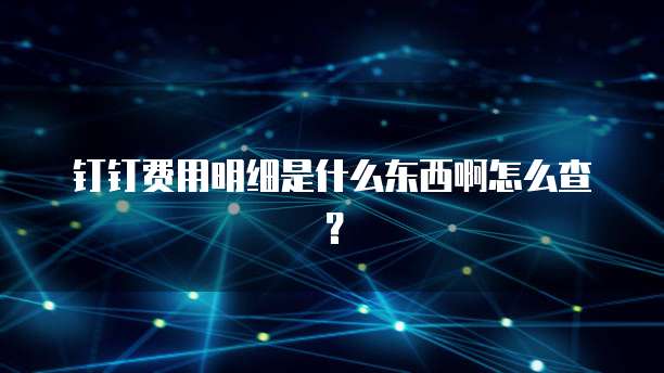 钉钉费用明细是什么东西啊怎么查?