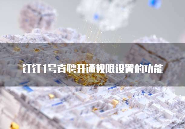 钉钉1号直聘开通权限设置的功能