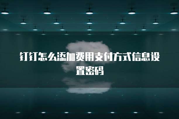 钉钉怎么添加费用支付方式信息设置密码