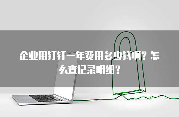 企业用钉钉一年费用多少钱啊?怎么查记录明细?