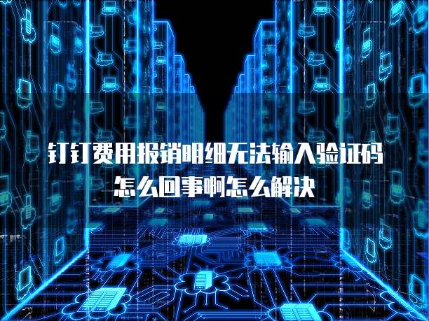 钉钉费用报销明细无法输入验证码怎么回事啊怎么解决