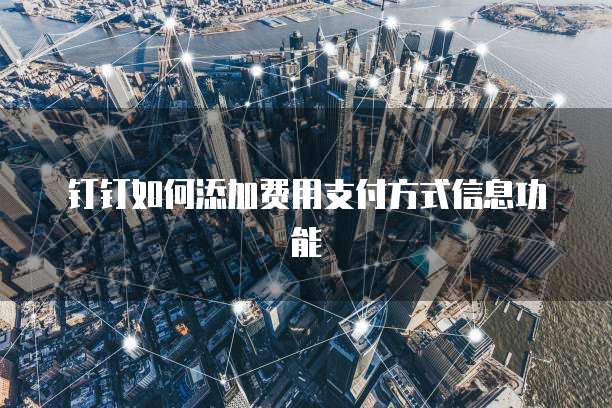 钉钉如何添加费用支付方式信息功能