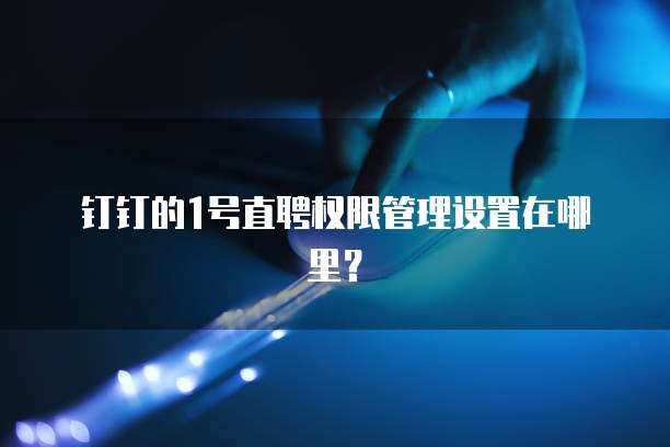 钉钉的1号直聘权限管理设置在哪里?