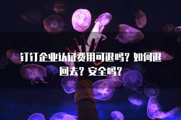 钉钉企业认证费用可退吗?如何退回去?安全吗?