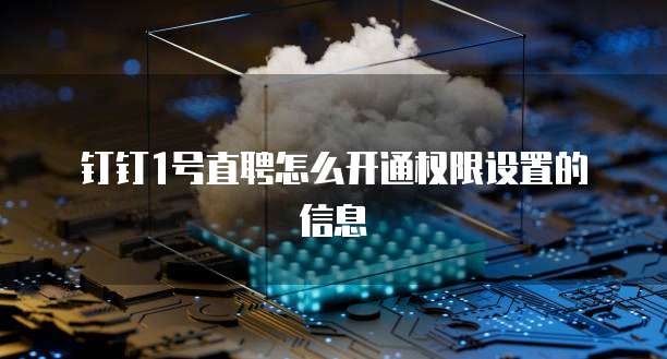 钉钉1号直聘怎么开通权限设置的信息