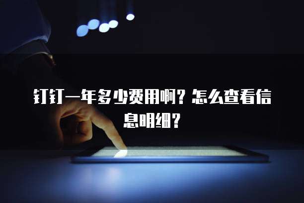 钉钉一年多少费用啊?怎么查看信息明细?