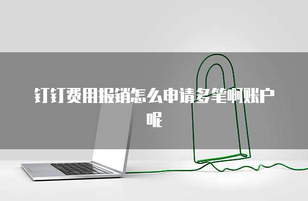 钉钉费用报销怎么申请多笔啊账户呢
