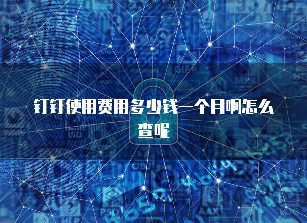 钉钉使用费用多少钱一个月啊怎么查呢