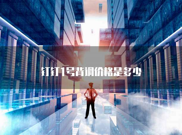 钉钉1号背调价格是多少