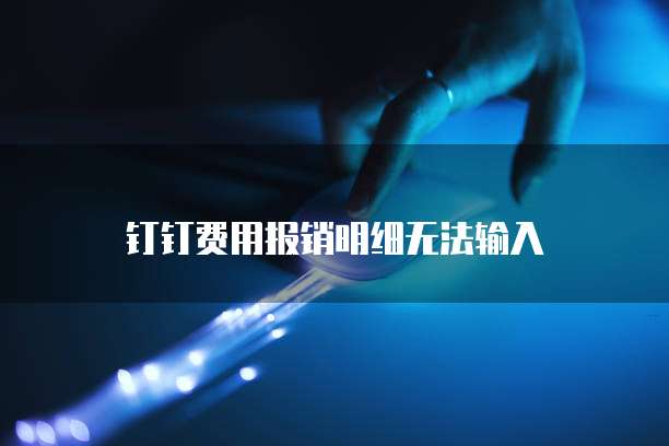 钉钉费用报销明细无法输入