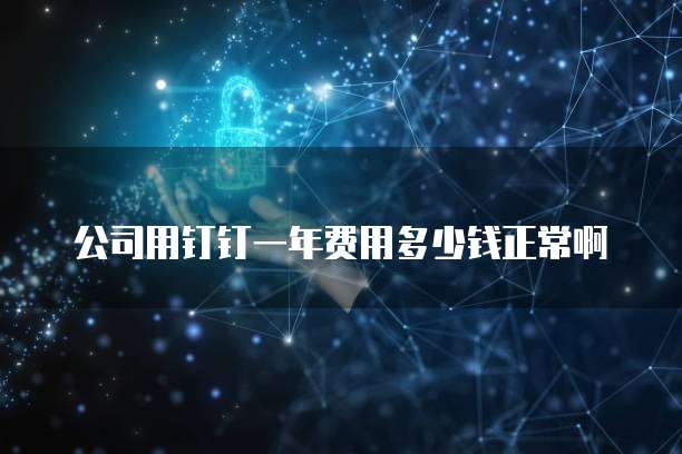 公司用钉钉一年费用多少钱正常啊