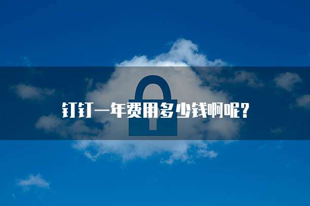 钉钉一年费用多少钱啊呢?