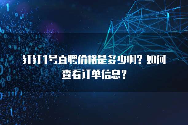 钉钉1号直聘价格是多少啊？如何查看订单信息？