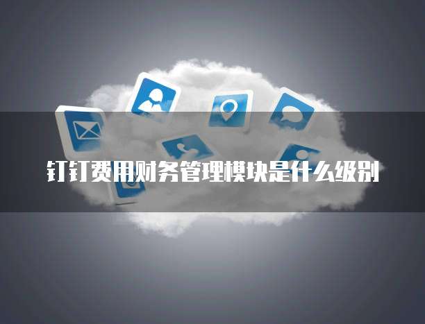 钉钉费用财务管理模块是什么级别