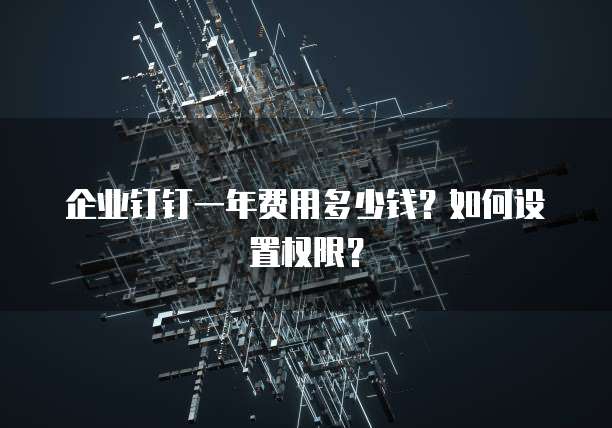 企业钉钉一年费用多少钱?如何设置权限?