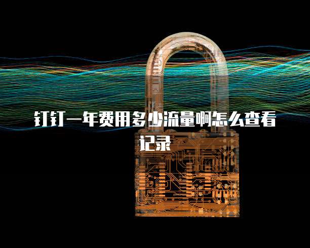 钉钉一年费用多少流量啊怎么查看记录
