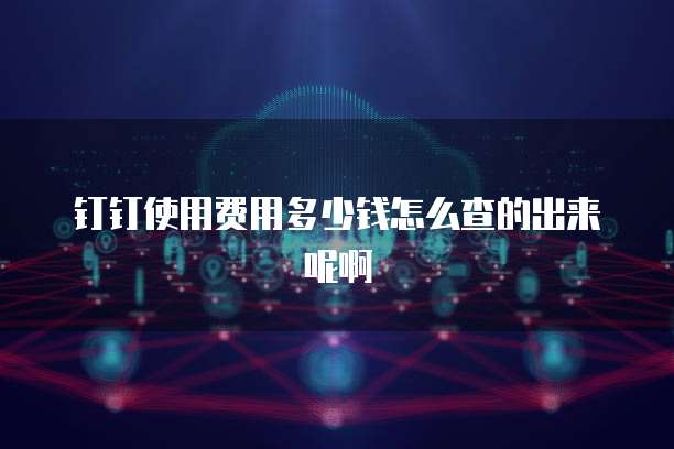 钉钉使用费用多少钱怎么查的出来呢啊