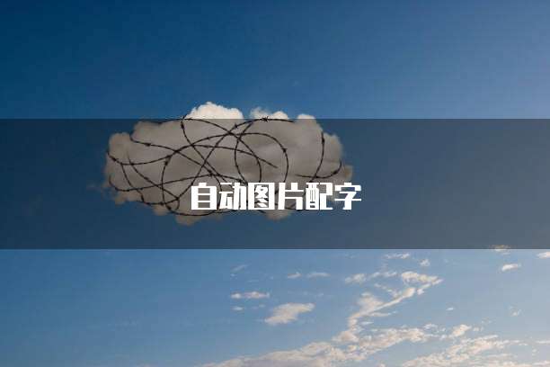 阿里云轻量服务器 IP 看法