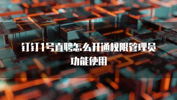 钉钉1号直聘怎么开通权限管理员功能使用
