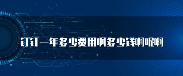 钉钉一年多少费用啊多少钱啊呢啊