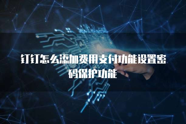 钉钉怎么添加费用支付功能设置密码保护功能