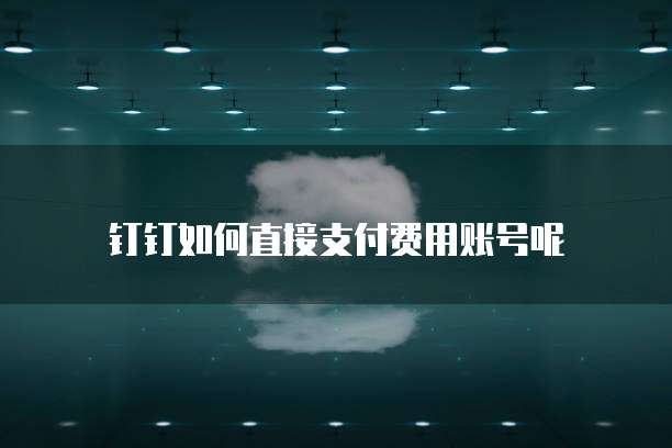 钉钉如何直接支付费用账号呢