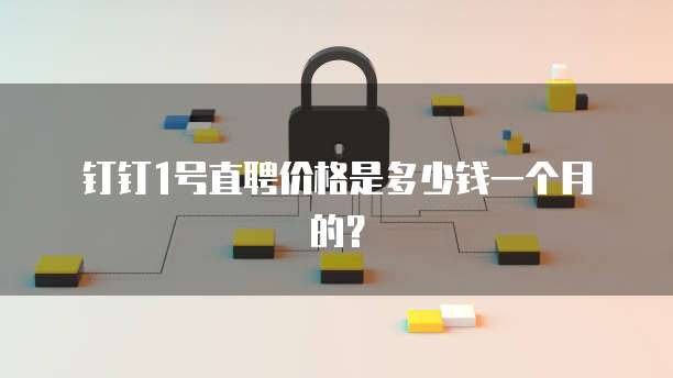 钉钉1号直聘价格是多少钱一个月的?