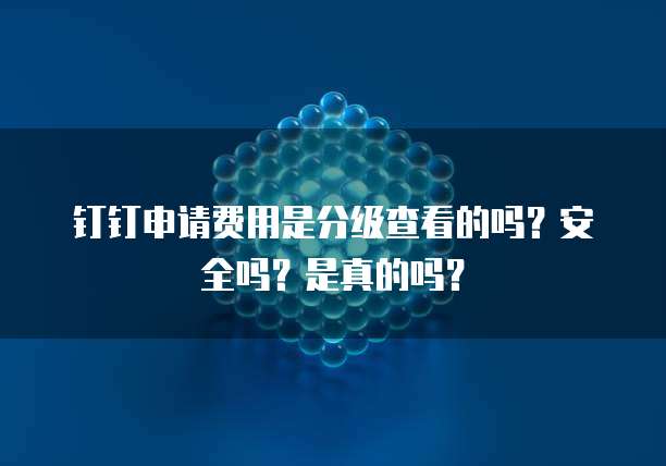 钉钉申请费用是分级查看的吗？安全吗？是真的吗？