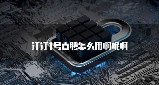 钉钉1号直聘怎么用啊呢啊