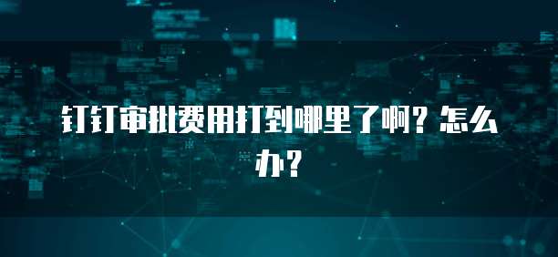 钉钉审批费用打到哪里了啊?怎么办?