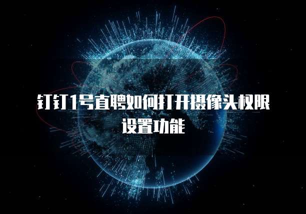 钉钉1号直聘如何打开摄像头权限设置功能
