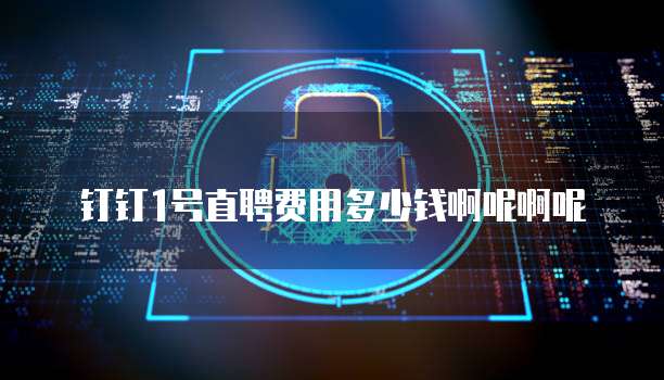 钉钉1号直聘费用多少钱啊呢啊呢