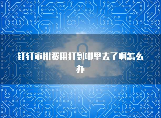 钉钉审批费用打到哪里去了啊怎么办
