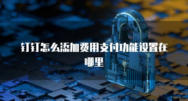 钉钉怎么添加费用支付功能设置在哪里
