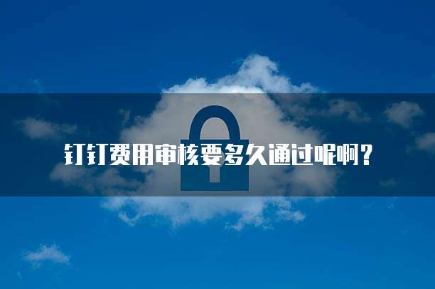 钉钉费用审核要多久通过呢啊?
