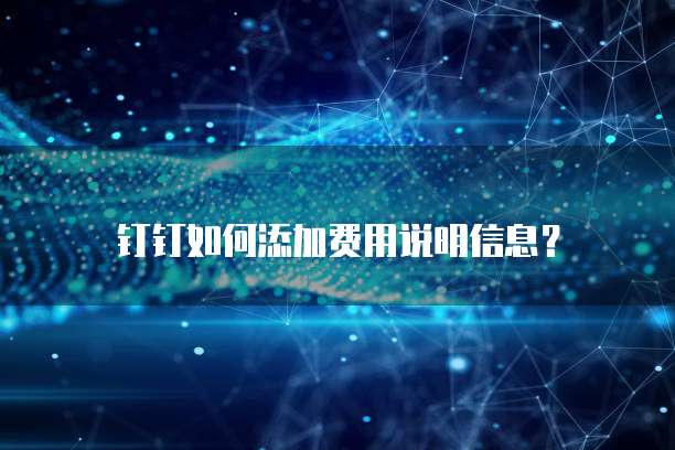 钉钉如何添加费用说明信息？