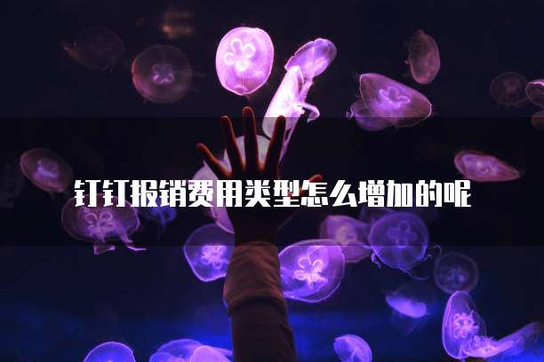 钉钉报销费用类型怎么增加的呢