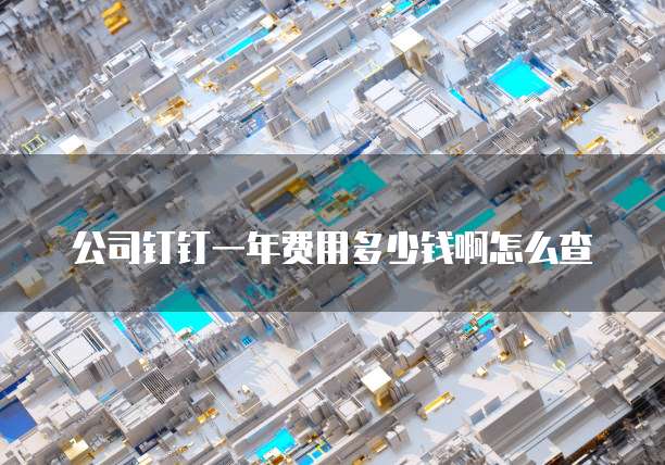 公司钉钉一年费用多少钱啊怎么查