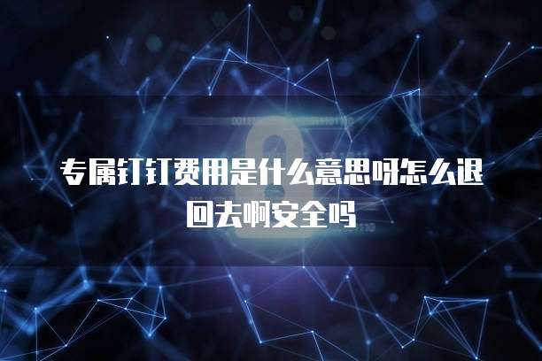 专属钉钉费用是什么意思呀怎么退回去啊安全吗