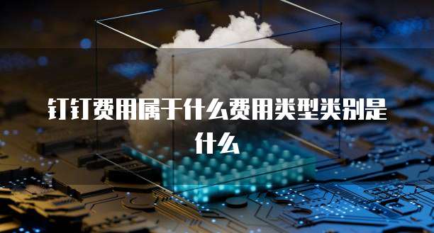 钉钉费用属于什么费用类型类别是什么
