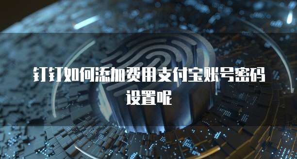 钉钉如何添加费用支付宝账号密码设置呢