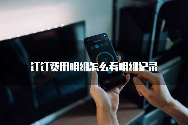 钉钉费用明细怎么看明细记录
