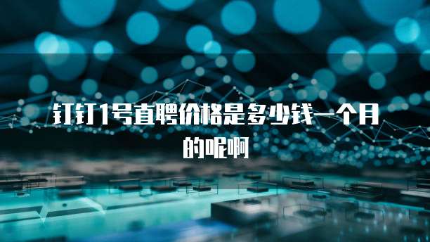 钉钉1号直聘价格是多少钱一个月的呢啊