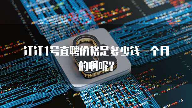 钉钉1号直聘价格是多少钱一个月的啊呢?