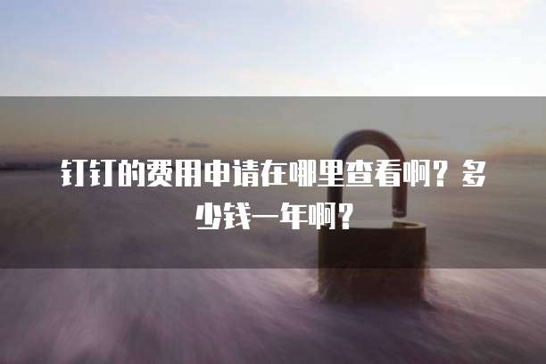 钉钉的费用申请在哪里查看啊?多少钱一年啊?